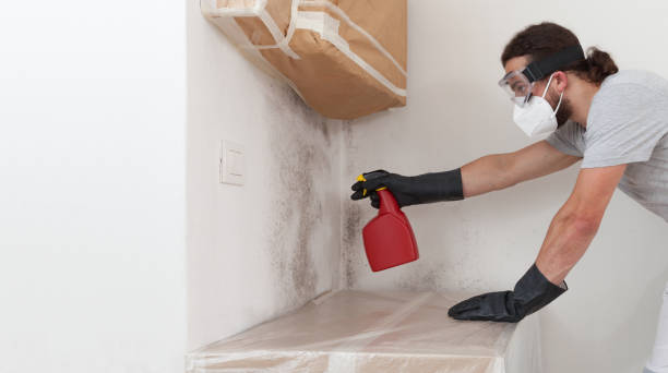 Professional Mold Removal technician working in Riverton, IL