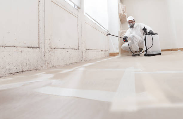 24/7 Emergency Mold Removal experts in Riverton, IL